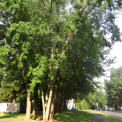 Walking westward through Stonegate