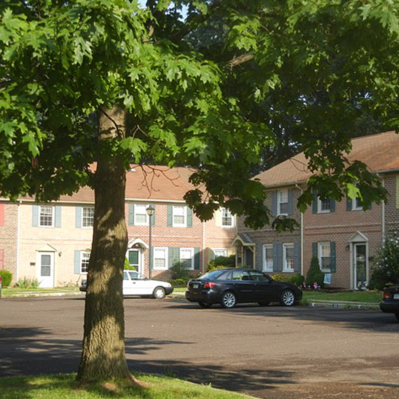 Buildings and tree on island